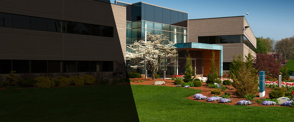 Richmond Hill Landscapers