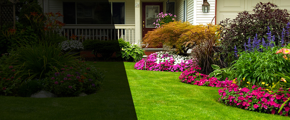 Richmond Hill Landscapers