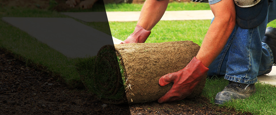 Richmond Hill Landscapers